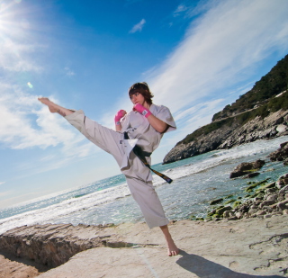 Karate sfondi gratuiti per iPad 3