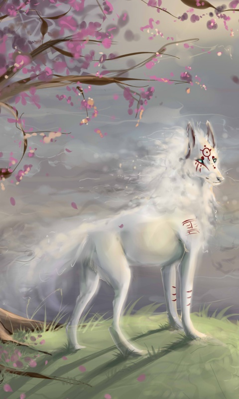 Art Wolf and Sakura wallpaper 480x800