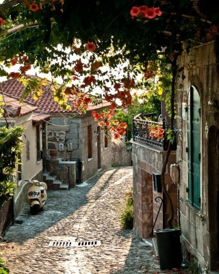 Kostenloses Italy Street Sicily Wallpaper für 240x320