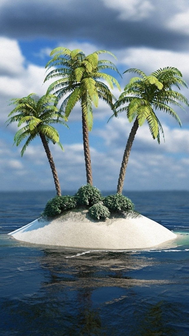Sfondi 3D Palm Tree Island 640x1136