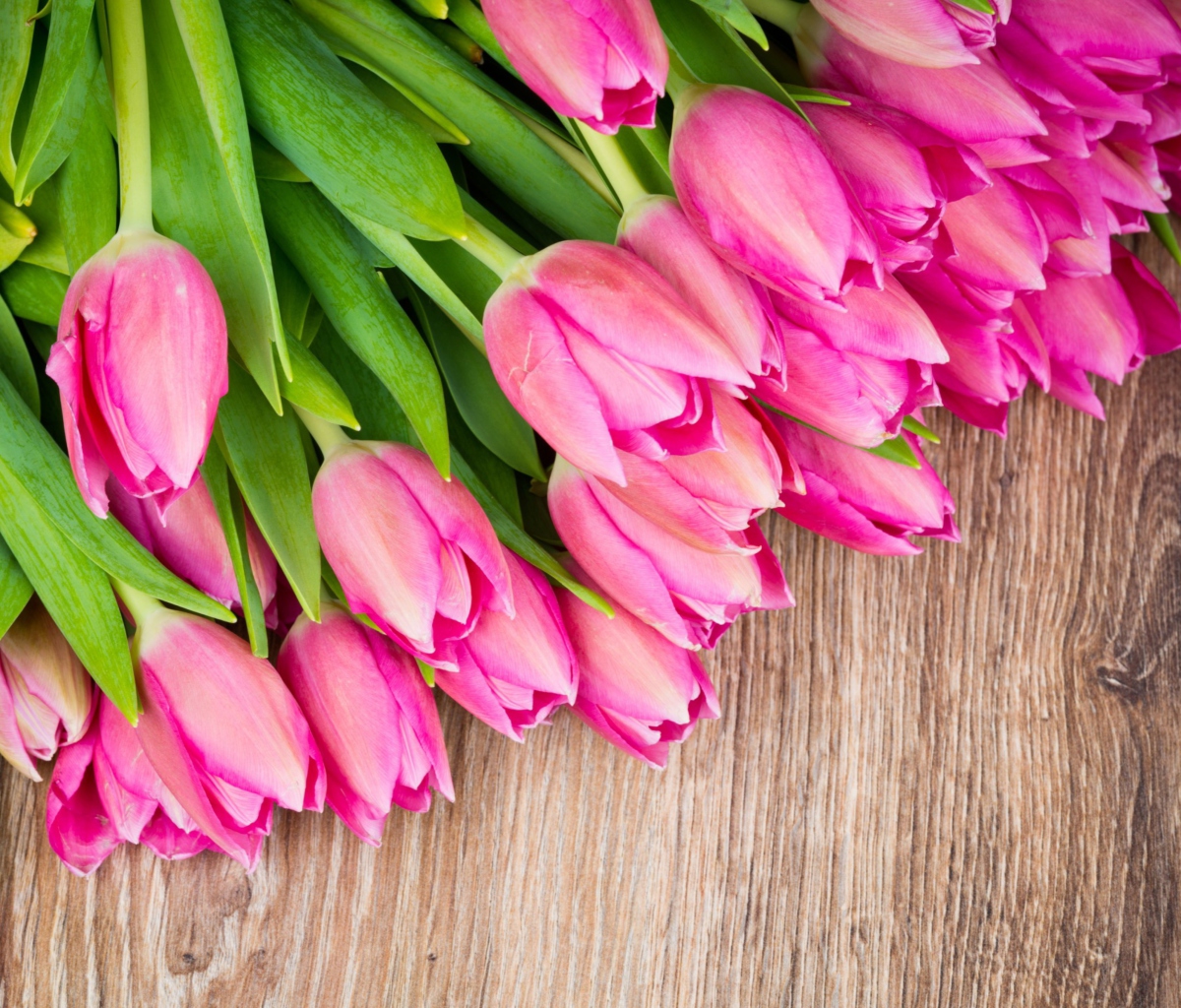 Pink Tulips Bouquet screenshot #1 1200x1024