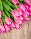 Обои Pink Tulips Bouquet 128x160
