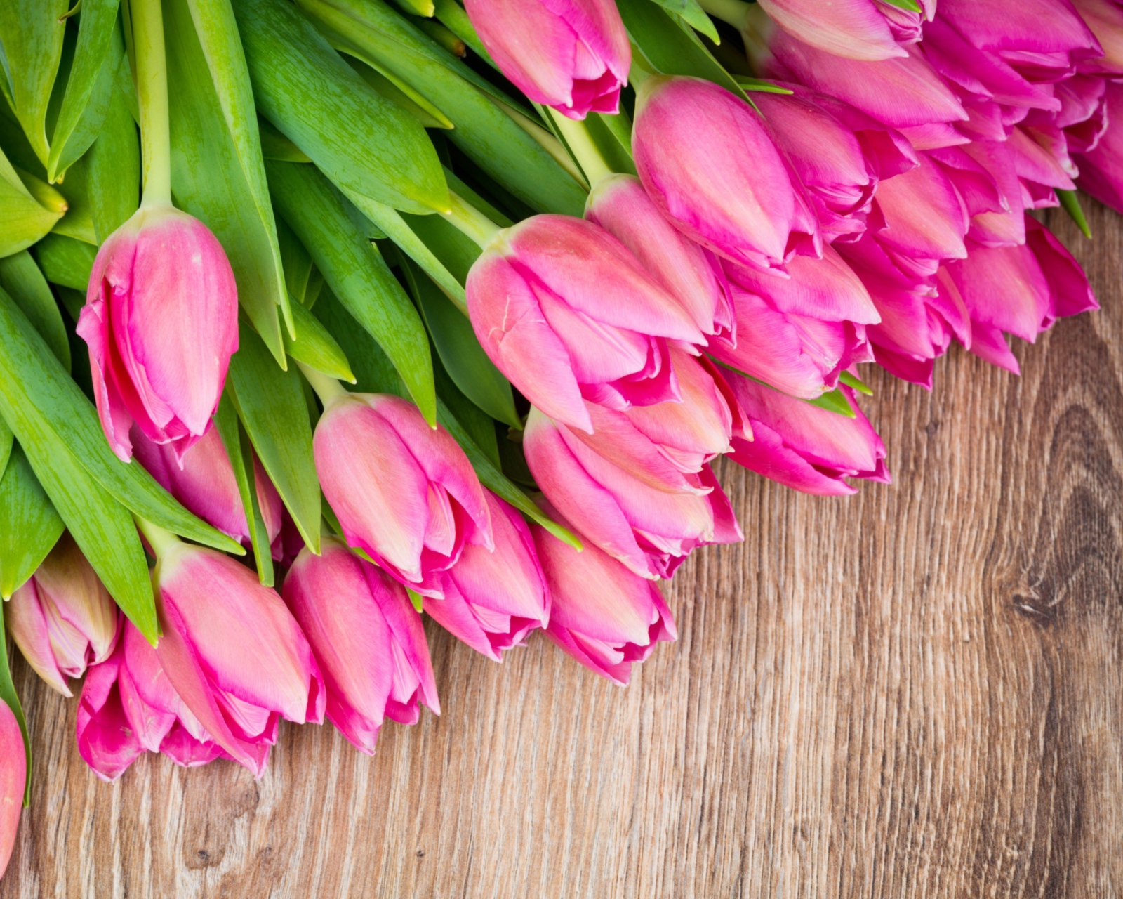 Screenshot №1 pro téma Pink Tulips Bouquet 1600x1280