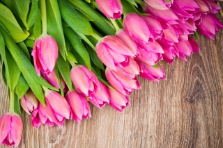 Pink Tulips Bouquet - Obrázkek zdarma pro 220x176