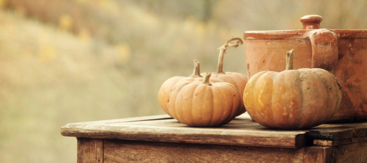 Punpkin Season wallpaper 720x320