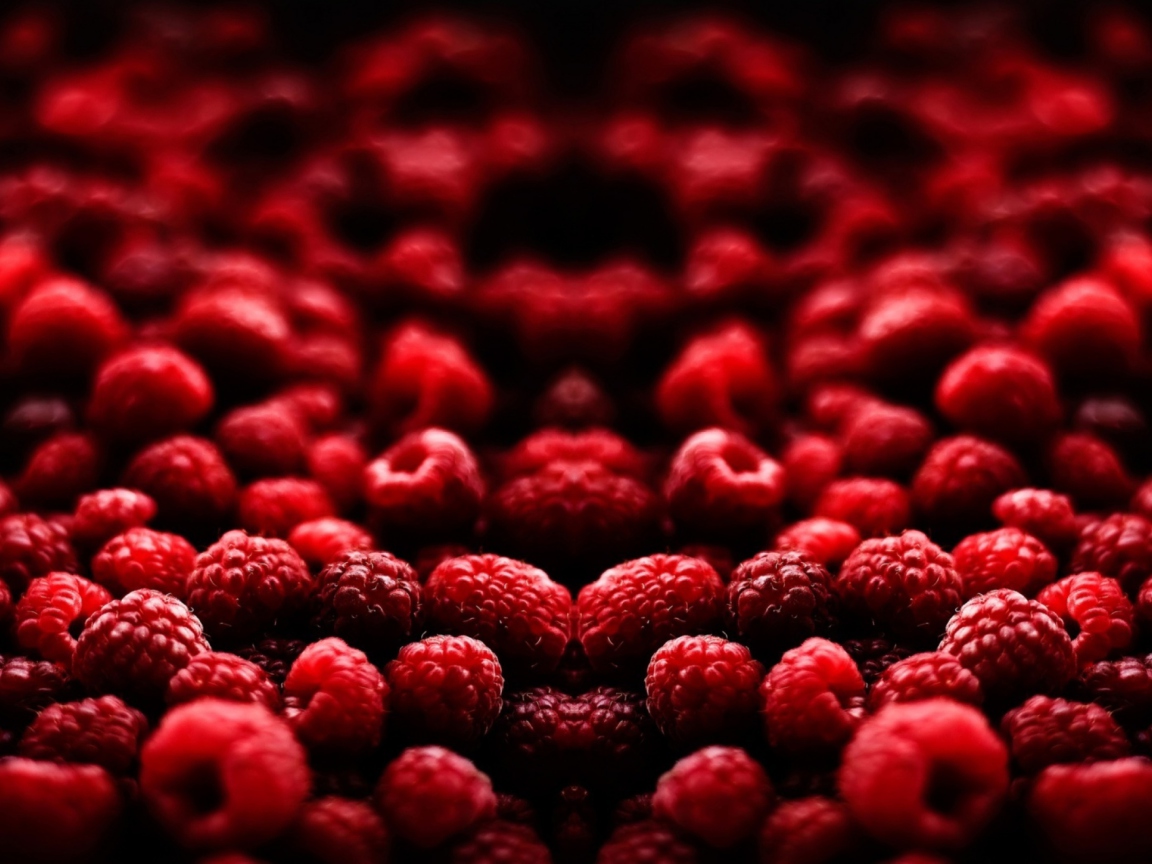 Screenshot №1 pro téma Red Raspberries 1152x864