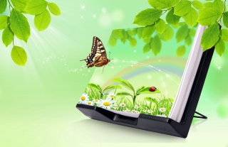 Creative Spring - Obrázkek zdarma pro Fullscreen Desktop 800x600