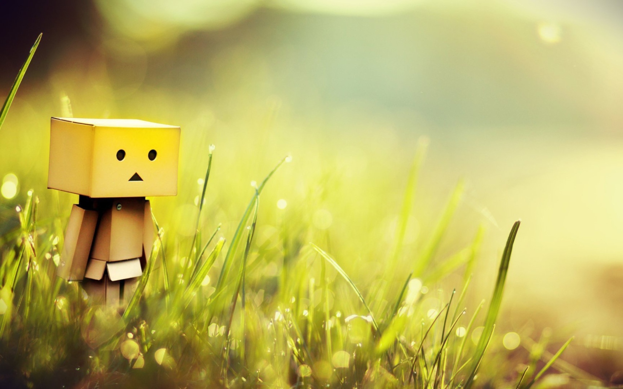 Screenshot №1 pro téma Danbo In Green Grass 1280x800