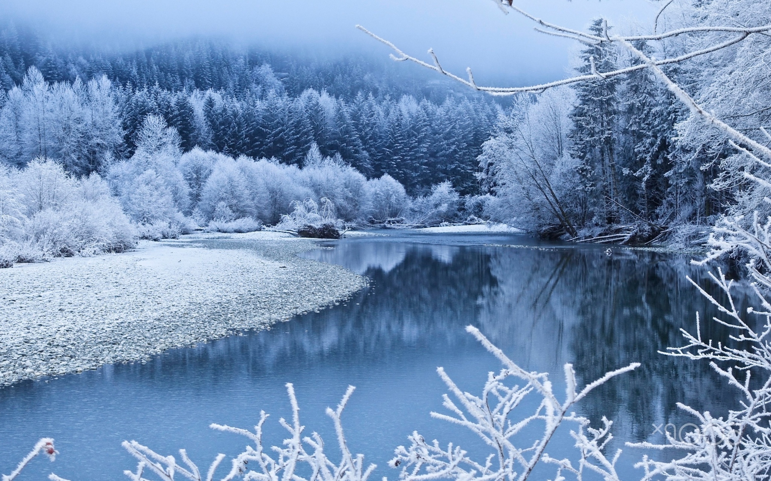 Das Winter Snow Wallpaper 2560x1600