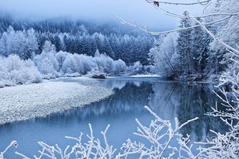 Das Winter Snow Wallpaper 480x320