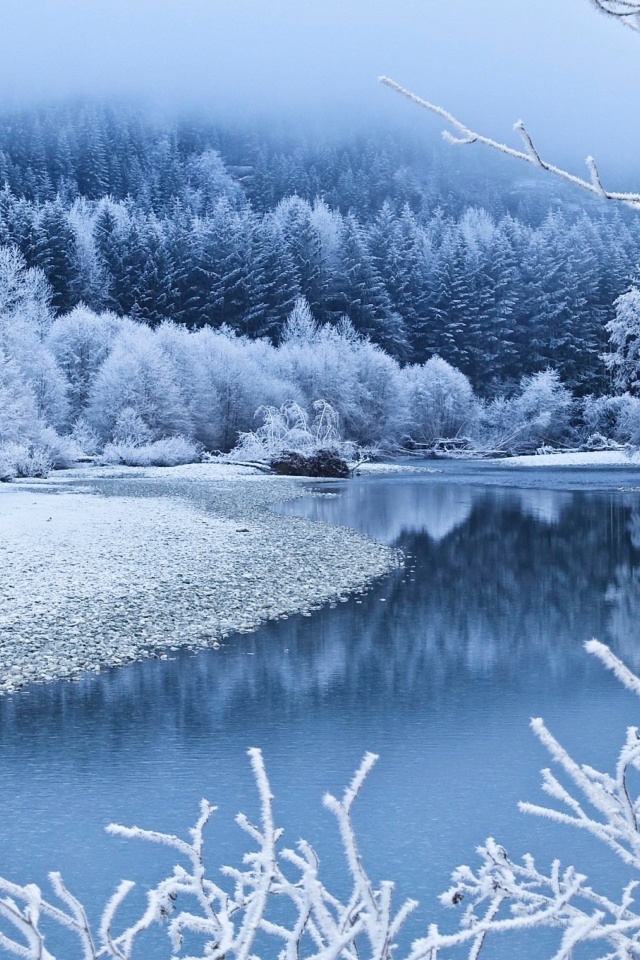 Das Winter Snow Wallpaper 640x960