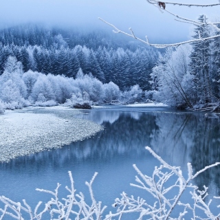 Kostenloses Winter Snow Wallpaper für iPad mini