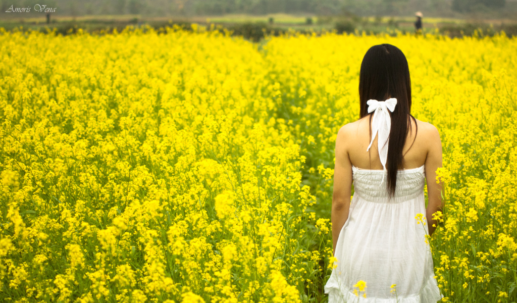 Fondo de pantalla Girl At Yellow Flower Field 1024x600