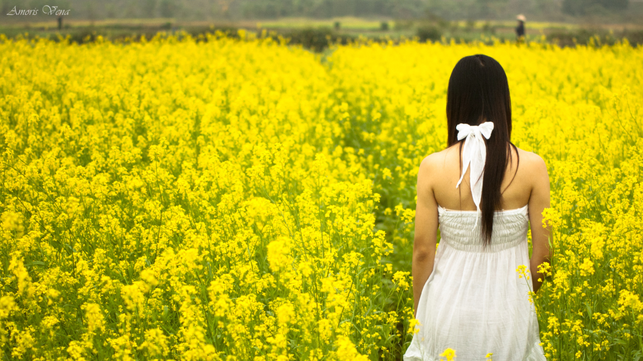 Screenshot №1 pro téma Girl At Yellow Flower Field 1280x720