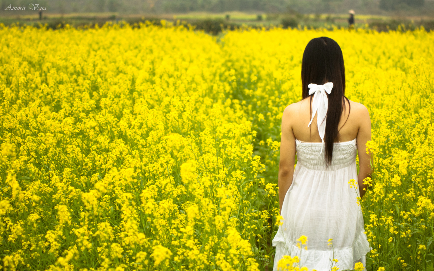 Screenshot №1 pro téma Girl At Yellow Flower Field 1440x900