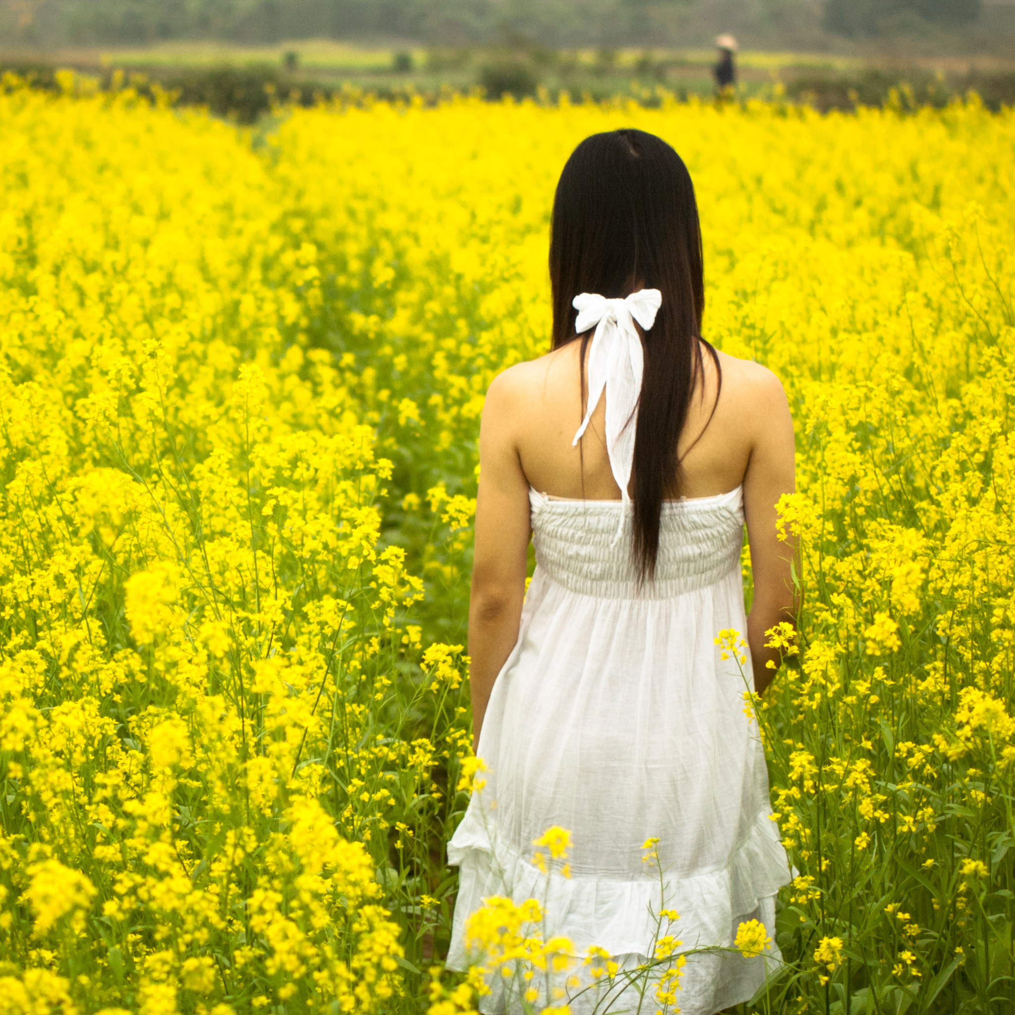 Screenshot №1 pro téma Girl At Yellow Flower Field 2048x2048