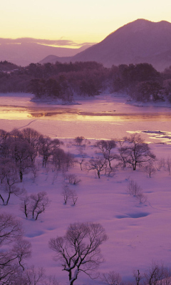Screenshot №1 pro téma Winter Landscape In Fukushima Japan 240x400