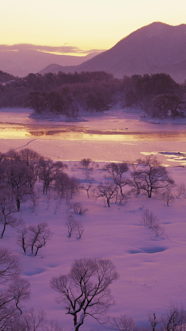 Sfondi Winter Landscape In Fukushima Japan 640x1136