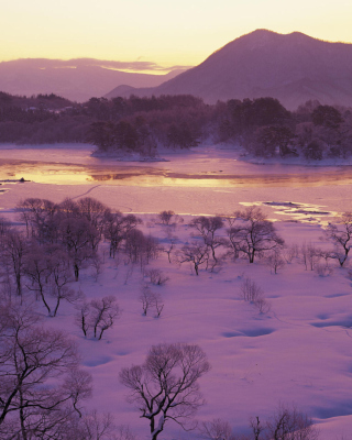 Winter Landscape In Fukushima Japan papel de parede para celular para Nokia Asha 309