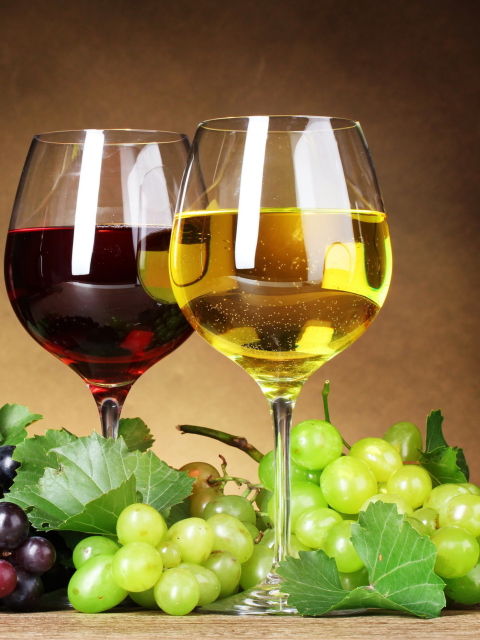 Spanish Wine screenshot #1 480x640