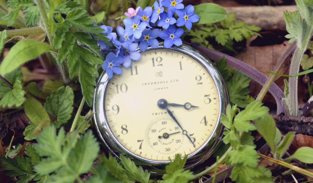 Обои Vintage Watch And Little Blue Flowers 1024x600