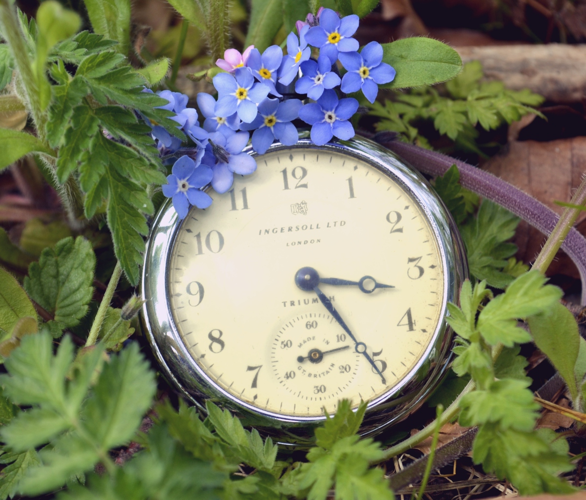 Sfondi Vintage Watch And Little Blue Flowers 1200x1024