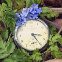 Обои Vintage Watch And Little Blue Flowers 128x128