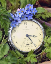 Screenshot №1 pro téma Vintage Watch And Little Blue Flowers 176x220