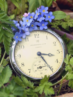 Sfondi Vintage Watch And Little Blue Flowers 240x320