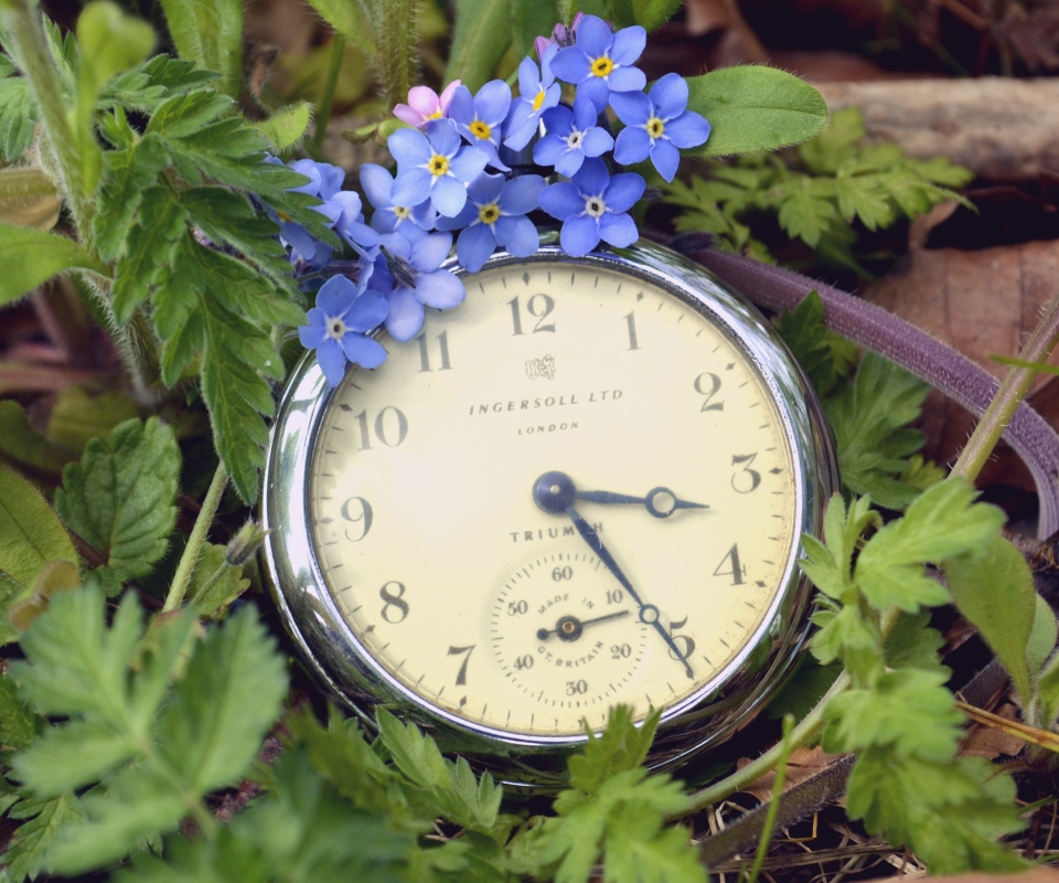 Обои Vintage Watch And Little Blue Flowers 960x800