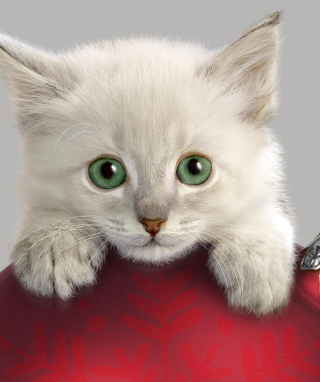 Christmas Kitten - Obrázkek zdarma pro 128x160