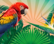 Parrot Macaw Illustration wallpaper 176x144