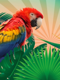 Das Parrot Macaw Illustration Wallpaper 240x320