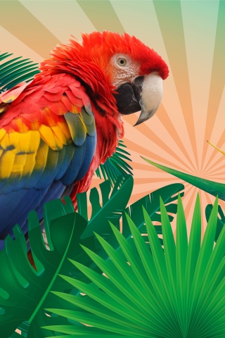 Обои Parrot Macaw Illustration 320x480