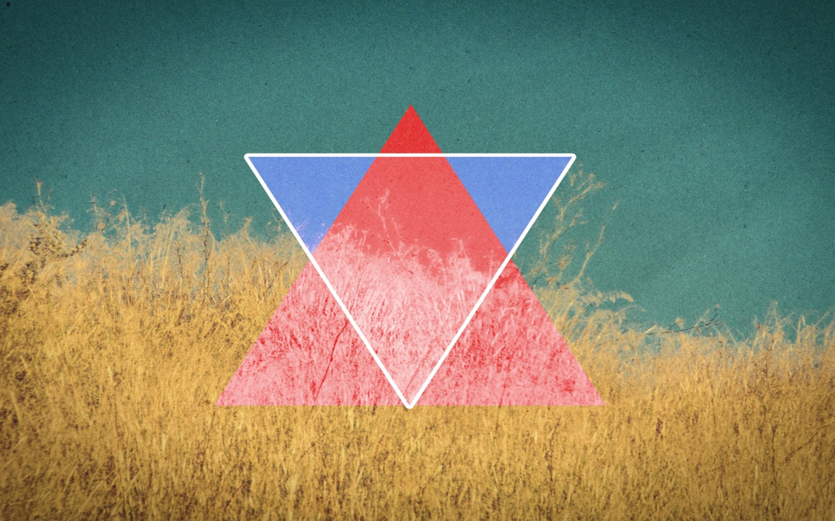 Fondo de pantalla Triangle in Grass 1680x1050