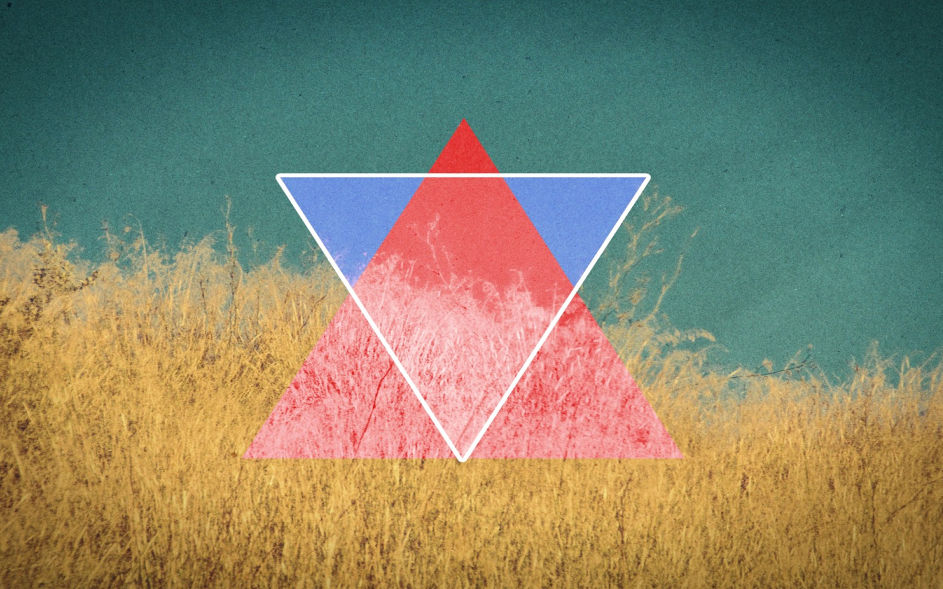 Обои Triangle in Grass 1920x1200
