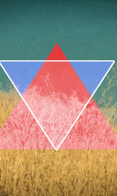 Triangle in Grass wallpaper 240x400