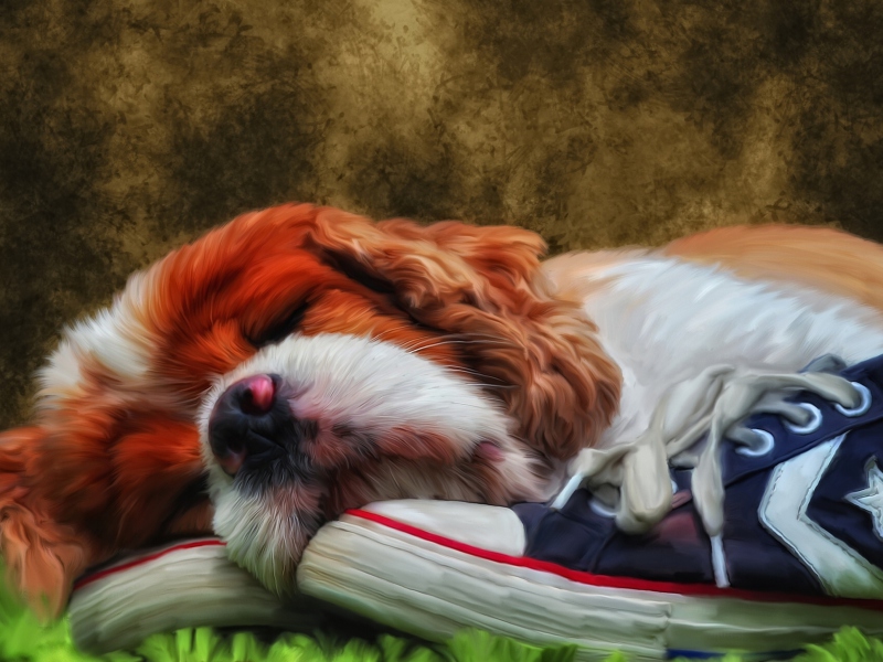 Screenshot №1 pro téma Sleeping Puppy Painting 800x600