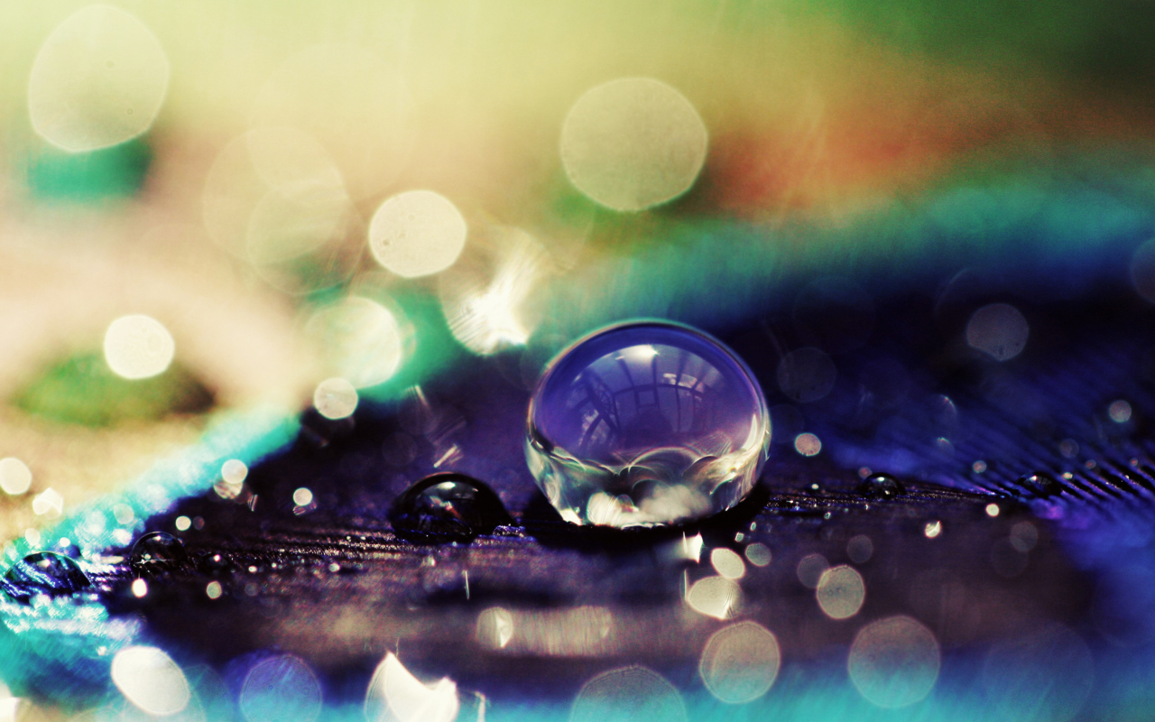 Screenshot №1 pro téma Amazing Water Drop Bokeh 1280x800