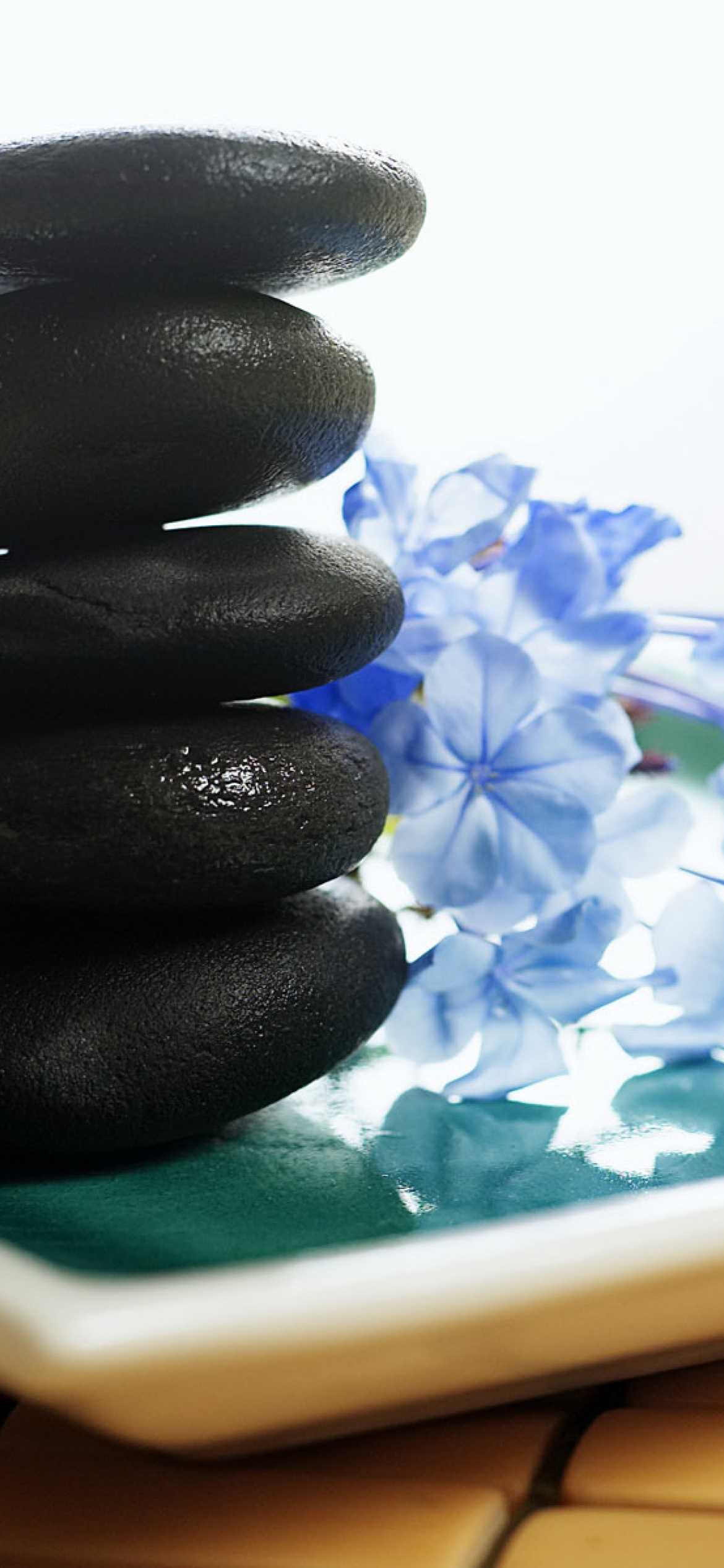 Spa Elements for Massage wallpaper 1170x2532