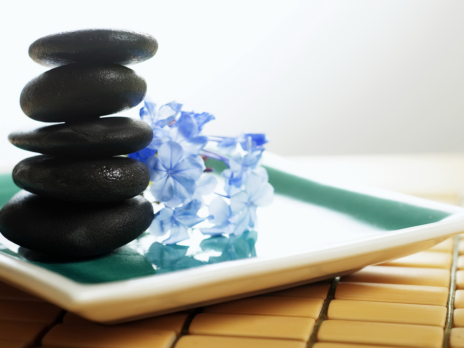 Spa Elements for Massage wallpaper 1600x1200