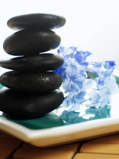 Spa Elements for Massage wallpaper 240x320