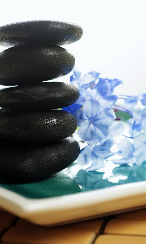 Spa Elements for Massage wallpaper 480x800
