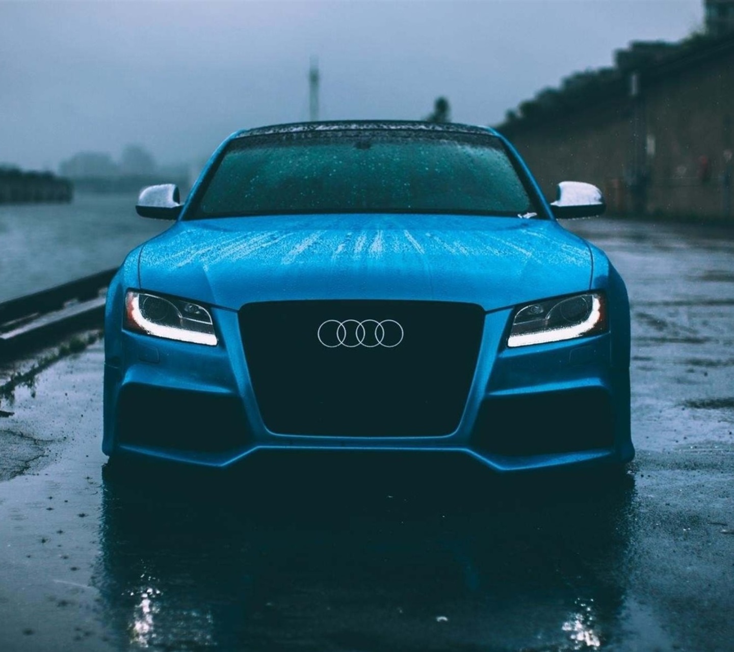 Das Audi S5 Car in Rain Wallpaper 1440x1280