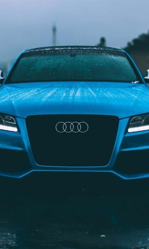 Audi S5 Car in Rain screenshot #1 480x800