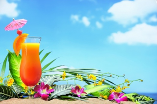 Beach Still Life Wallpaper for Android, iPhone and iPad