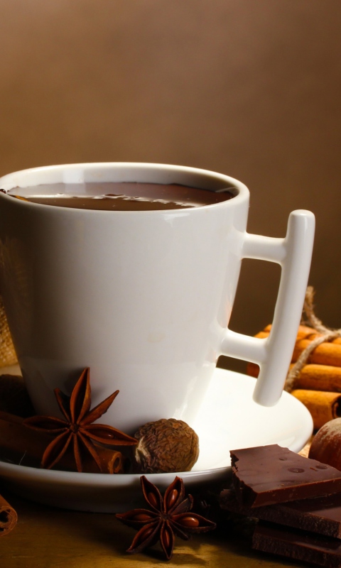 Hot Spicy Chocolate wallpaper 480x800