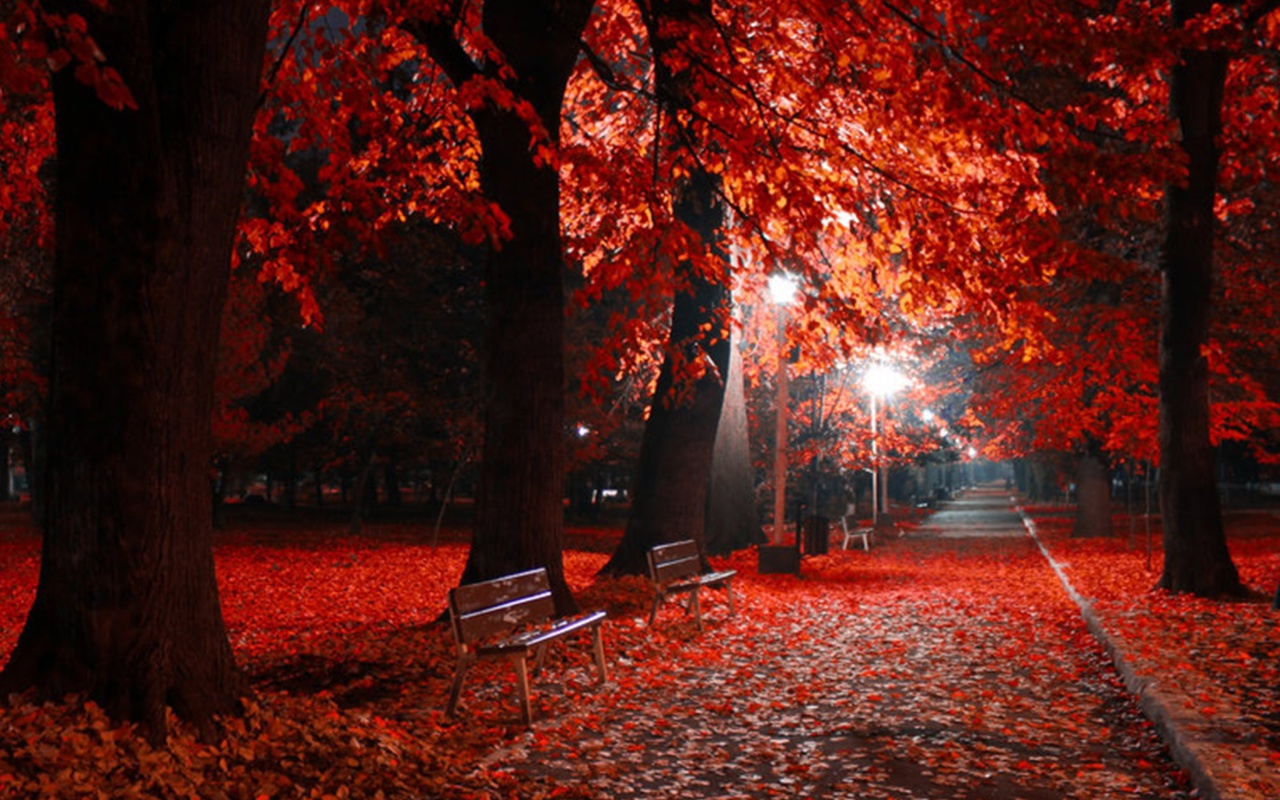 Romantic Fall Park screenshot #1 1280x800