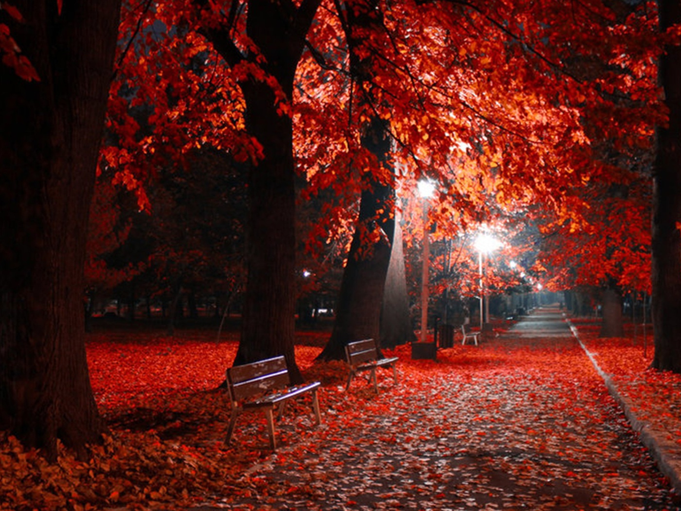 Screenshot №1 pro téma Romantic Fall Park 1400x1050