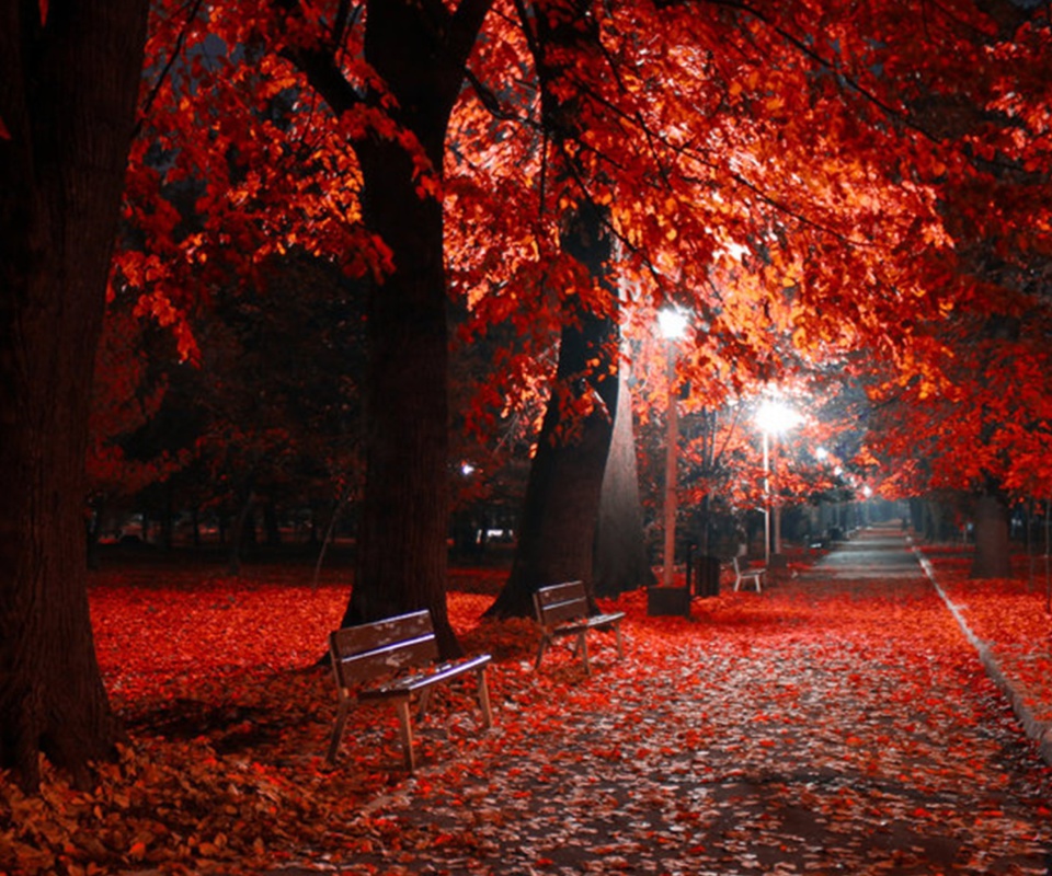 Das Romantic Fall Park Wallpaper 960x800